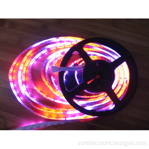 Flexible Full Color Light 5050 SMD